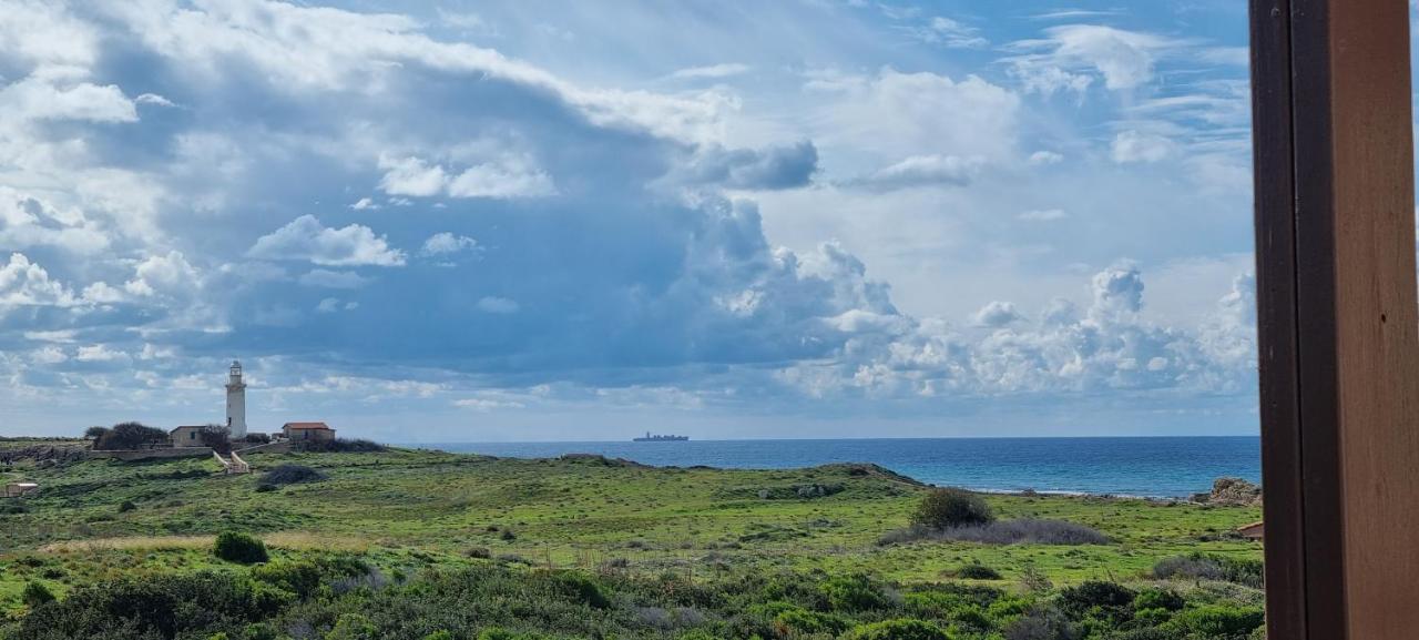 Ancient Paphos - Cozy Place Next To The Sea, Marina, Historical Sites, Buses, Mall, And Market 外观 照片