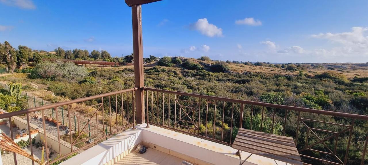Ancient Paphos - Cozy Place Next To The Sea, Marina, Historical Sites, Buses, Mall, And Market 外观 照片