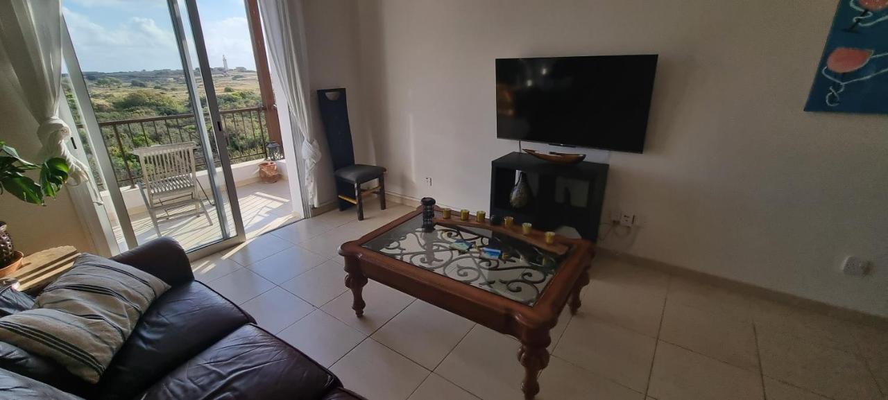Ancient Paphos - Cozy Place Next To The Sea, Marina, Historical Sites, Buses, Mall, And Market 外观 照片